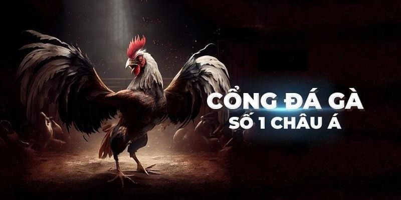 Cổng đá gà trực tuyến số 1 châu Á