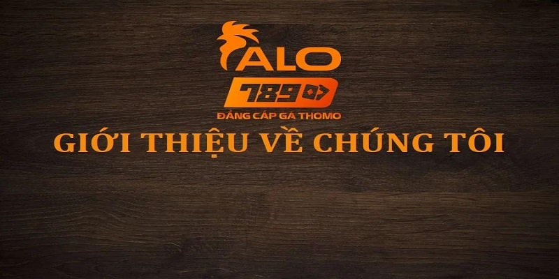 Thông tin quan trọng về nhà cái Alo789 dành cho khách hàng